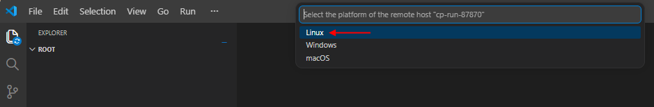 CP_VSCodeInteractions